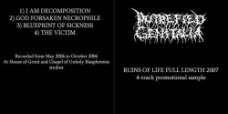 Putrefied Genitalia : Advanced Ruins Of Life Putrefied Genitalia : Advanced Ruins Of Life
